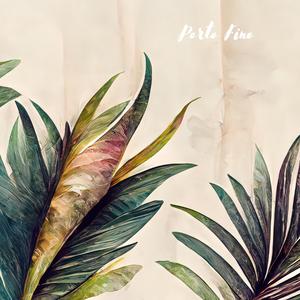 ipz-921黑色紧身丝袜番号
